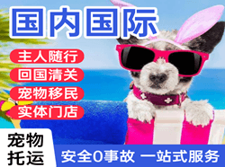 潮汕航空物流国际宠物托运 【国